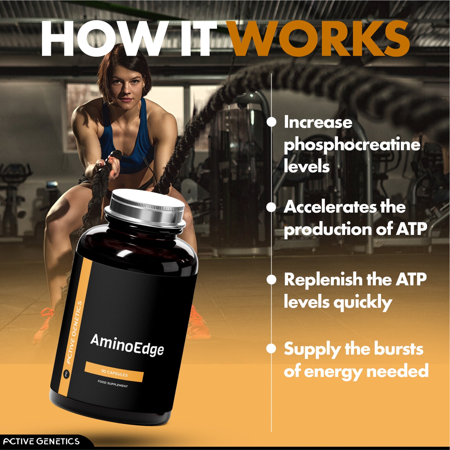 Everyday Athlete Bundle