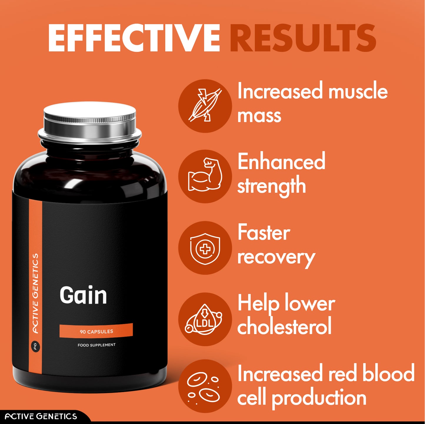 Everyday Athlete Bundle